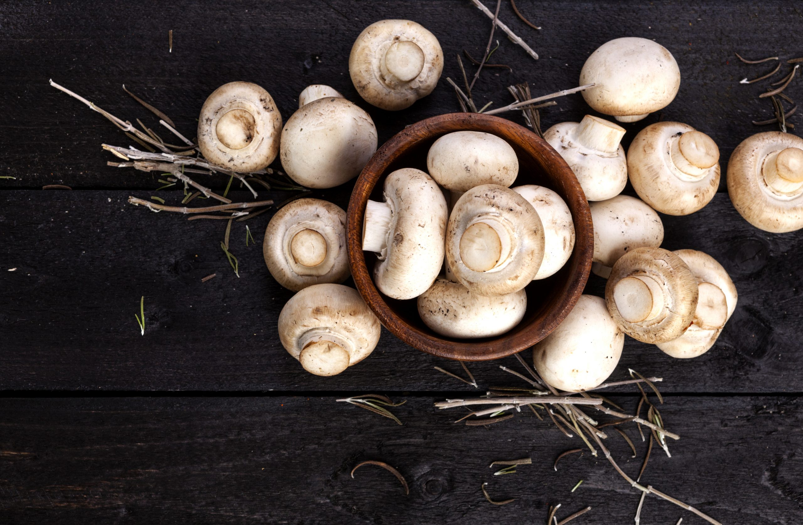 Champignons blancs